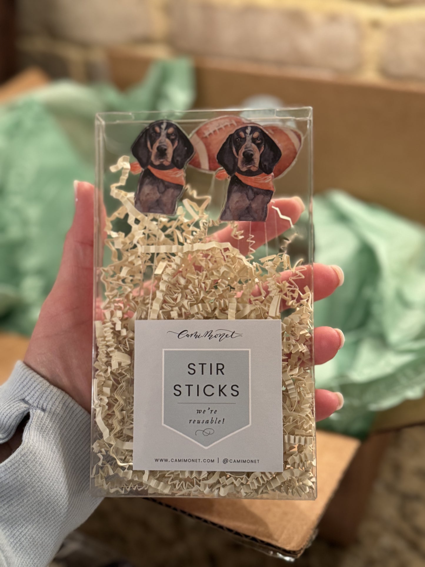 Football Time in TN Acrylic Stir Sticks