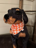 Orange and White Checkered Dog Bandana