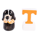 Tennessee Salt & Pepper Set